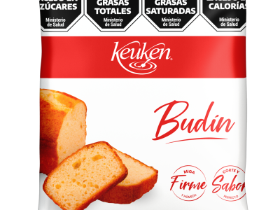 Budin-500-g-PBN15A.png