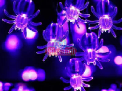 Captura-de-pantalla-2025-08-20-172432.png