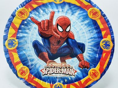 SPIDERMAN-PLATO.jpg