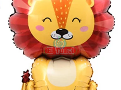 leonsolo.png